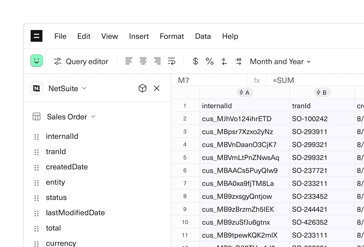 An image of NetSuite data in an Equals spreadsheet.